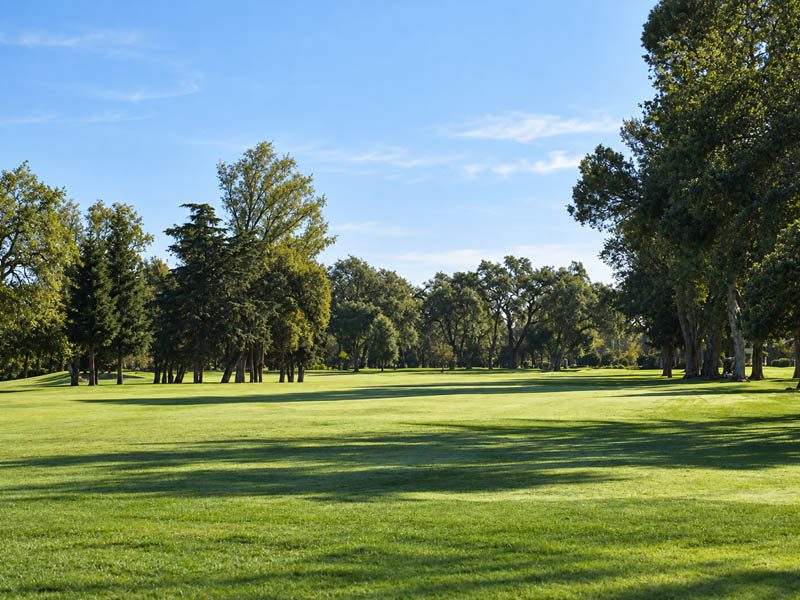 Tree-lined fairway at Plumas Lake Golf Club with wide landing areas and mature shade trees.