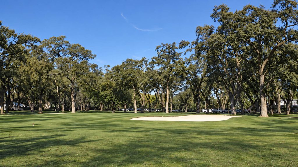 Sand bunker and green approach at Plumas Lake Golf Club framed by mature oak trees.