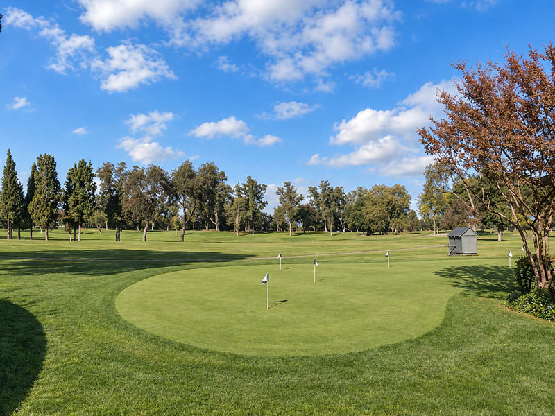 Practice putting green at Plumas Lake Golf Club with multiple flags, mature trees, and blue sky.