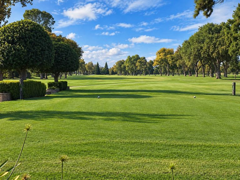 Tee view at Plumas Lake Golf Club with a wide fairway, trimmed hedges, and tree-lined golf hole.
