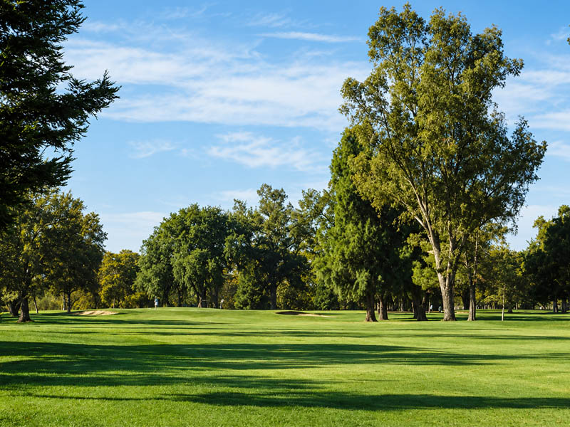 Open fairway at Plumas Lake Golf Club with mature trees and a well-maintained golf course layout.