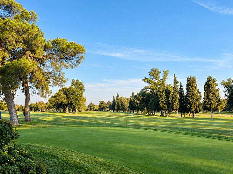 Green and fairway at Plumas Lake Golf Club with mature trees, blue sky, and early morning light.