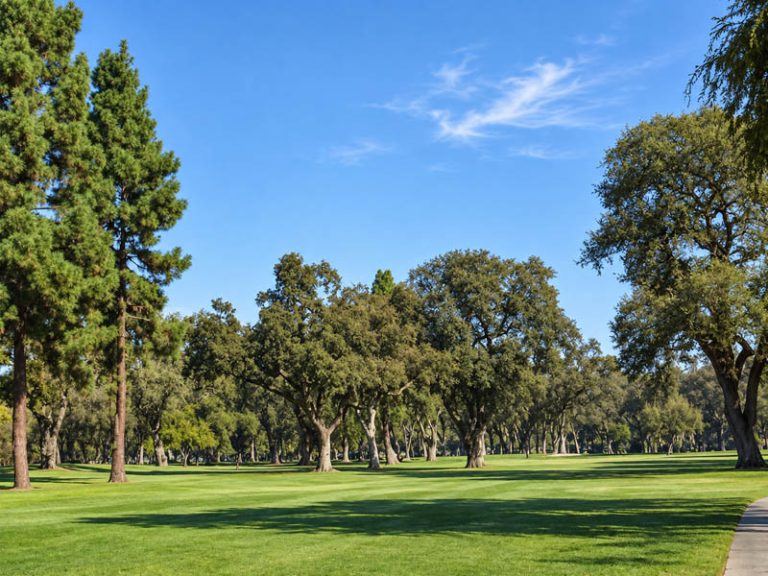 Oak-lined fairway at Plumas Lake Golf Club with wide turf, blue sky, and mature trees.
