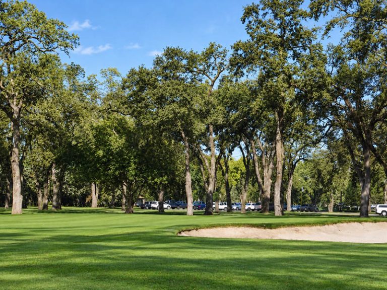Sand bunker and green approach at Plumas Lake Golf Club framed by mature oak trees.